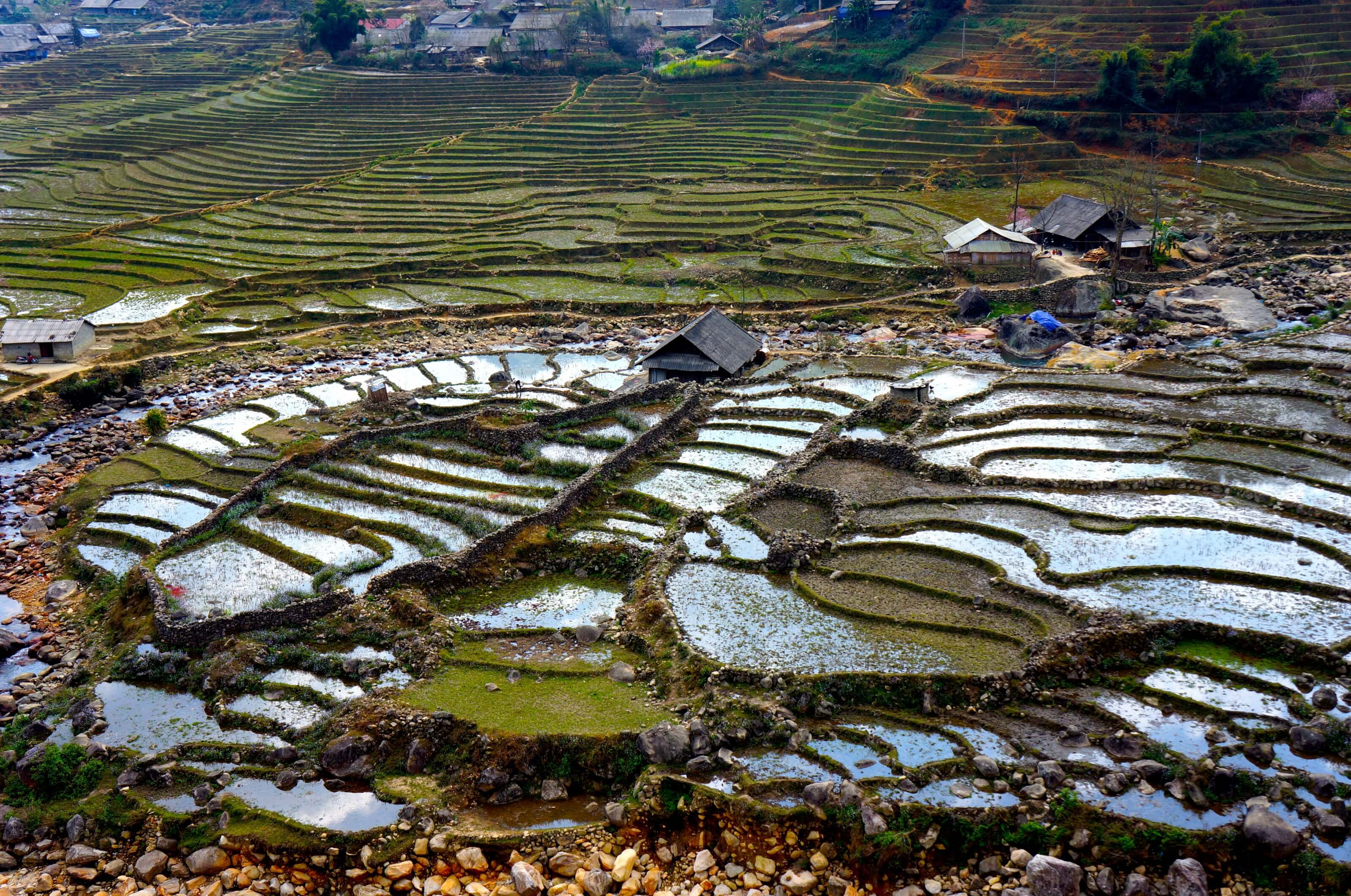 Sapa: our travel guide for a trek in the rice fields of Vietnam